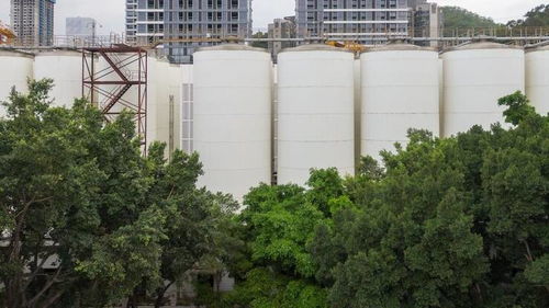 金翅膀网络 回望2022年，那些让人眼睛一亮的新建筑