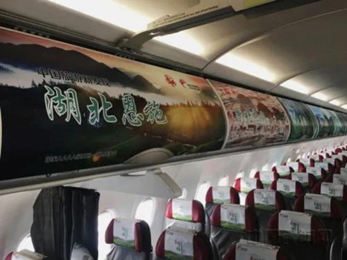 为脱贫插上“金翅膀” 长龙航空掌门人刘启宏荣获“全国脱贫攻坚先进个人”