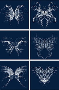 免费高清蝴蝶水花PNG图片下载指南与版权提醒